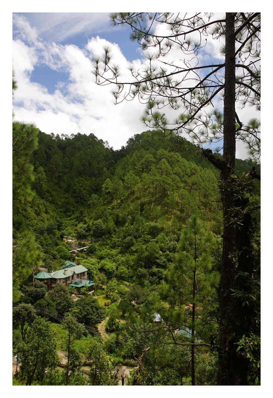 Saffronstays Himalaica, Nainital Bhowali Экстерьер фото